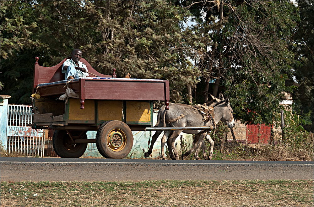 Leben in Kenia