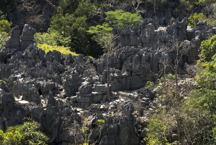 Madagaskar, Ankarana, Tsingis