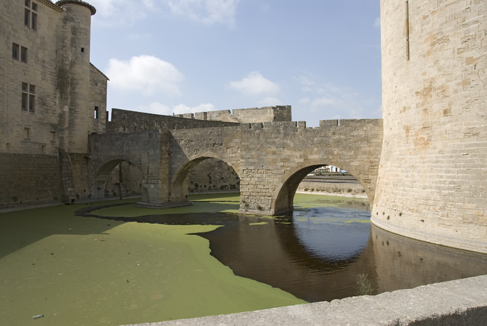 Aigues Mort Camarque Frankreich