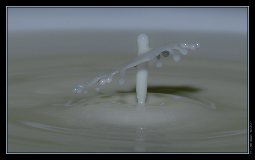 Milch-TAT