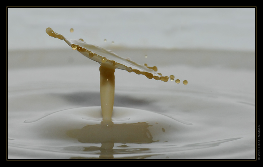 Milch-Kaffee TAT