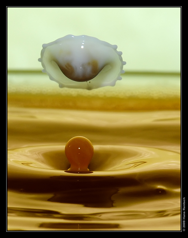 Kaffee-Milch TAT