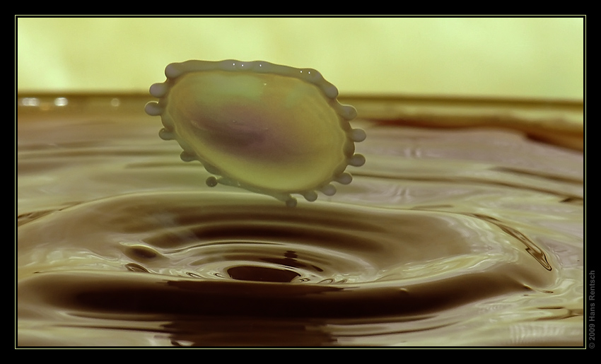 Kaffee-Milch TAT