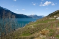 Ullensvang, Lofthus Camping Ullensvang, Lofthus Camping