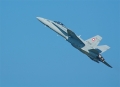 Mc Donell Douglas F/A-18C/D Hornet, Swiss Air Force Mc Donell Douglas F/A-18C/D Hornet, Swiss Air Force