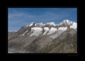 Am Aletschgletscher