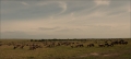 Gnu