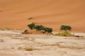 Sossusvlei / Deadvlei