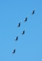 Team 60 mit Jet-Schulflugzeug Saab 105 SK 60