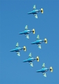 Team 60 mit Jet-Schulflugzeug Saab 105 SK 60