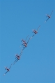 PC-7 Team /  Pilatus PC-7