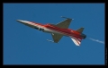 Dittinger Flugtage 2009