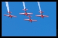 Dittinger Flugtage 2009