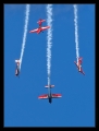 Dittinger Flugtage 2009