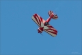 Pitts-S-1S-spezial