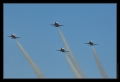 Dittinger Flugtage 2009