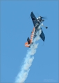 SU-31-Angry-Fish
