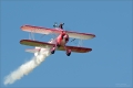 Wingwalker