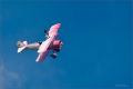 Wingwalker