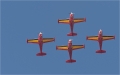 Red Devils / Kunstflugteam SIAI Marcetti SF-260