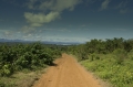 Landschaft und eine gute Strasse Landschaft und eine gute Strasse