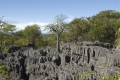 Madagaskar, Ankarana, Tsingis Madagaskar, Ankarana, Tsingis