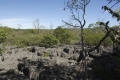 Madagaskar, Ankarana, Tsingis Madagaskar, Ankarana, Tsingis