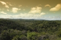 Madagaskar, Ankarana, Tsingis Madagaskar, Ankarana, Tsingis