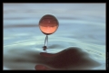 Wassertropfen