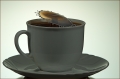 Kaffee Creme
