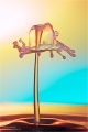 Wassertropfen-Skulpturen