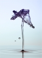 Wassertropfen