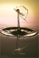 Wassertropfen-Skulpturen