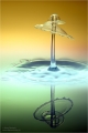 Wassertropfen-Skulpturen