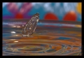 Wassertropfen