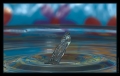 Wassertropfen