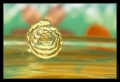 Wassertropfen