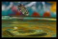 Wassertropfen