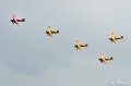 Squadro Bücker
