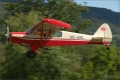 piper-PH-18 super cup